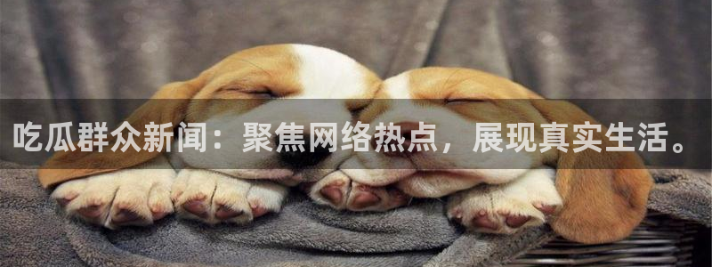 娱乐吃瓜信息核验