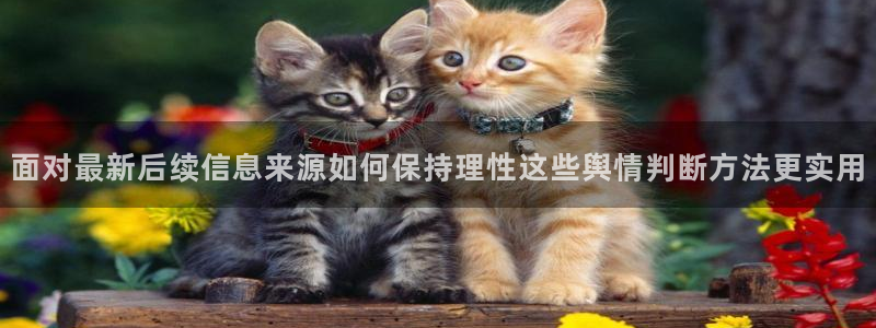 热门吃瓜信息核验
