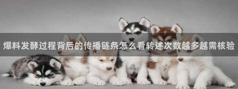 最新吃瓜信息核验