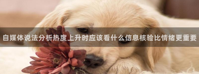 直播吃瓜公开回应