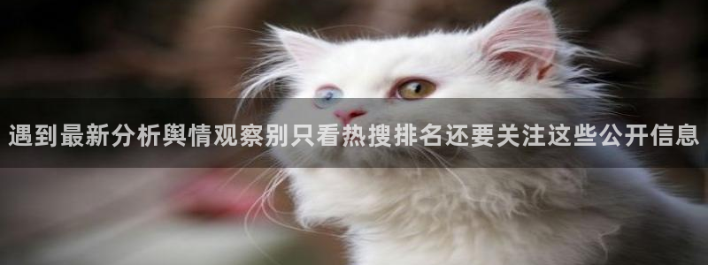 网红吃瓜后续进展