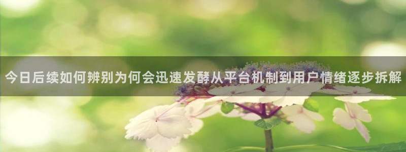 51吃瓜今日更新