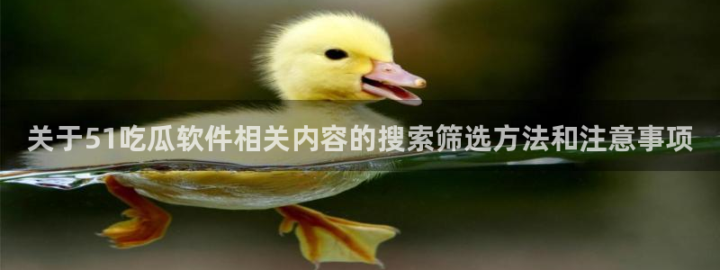 吃瓜真相公开回应