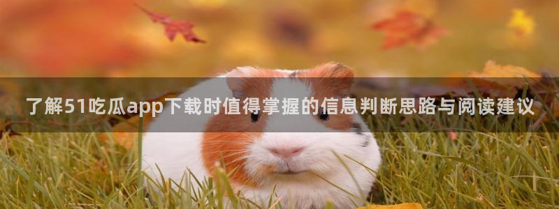 娱乐吃瓜信息核验