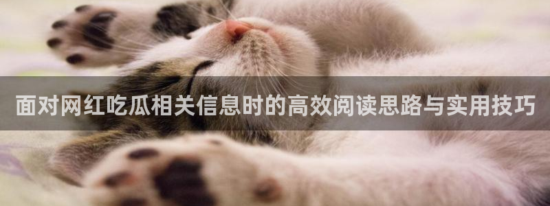 今日吃瓜事件始末