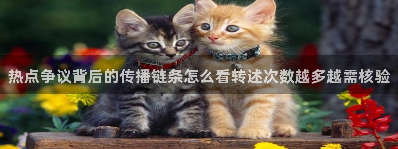 理性吃瓜后续进展